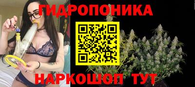 прущая мука Гусев